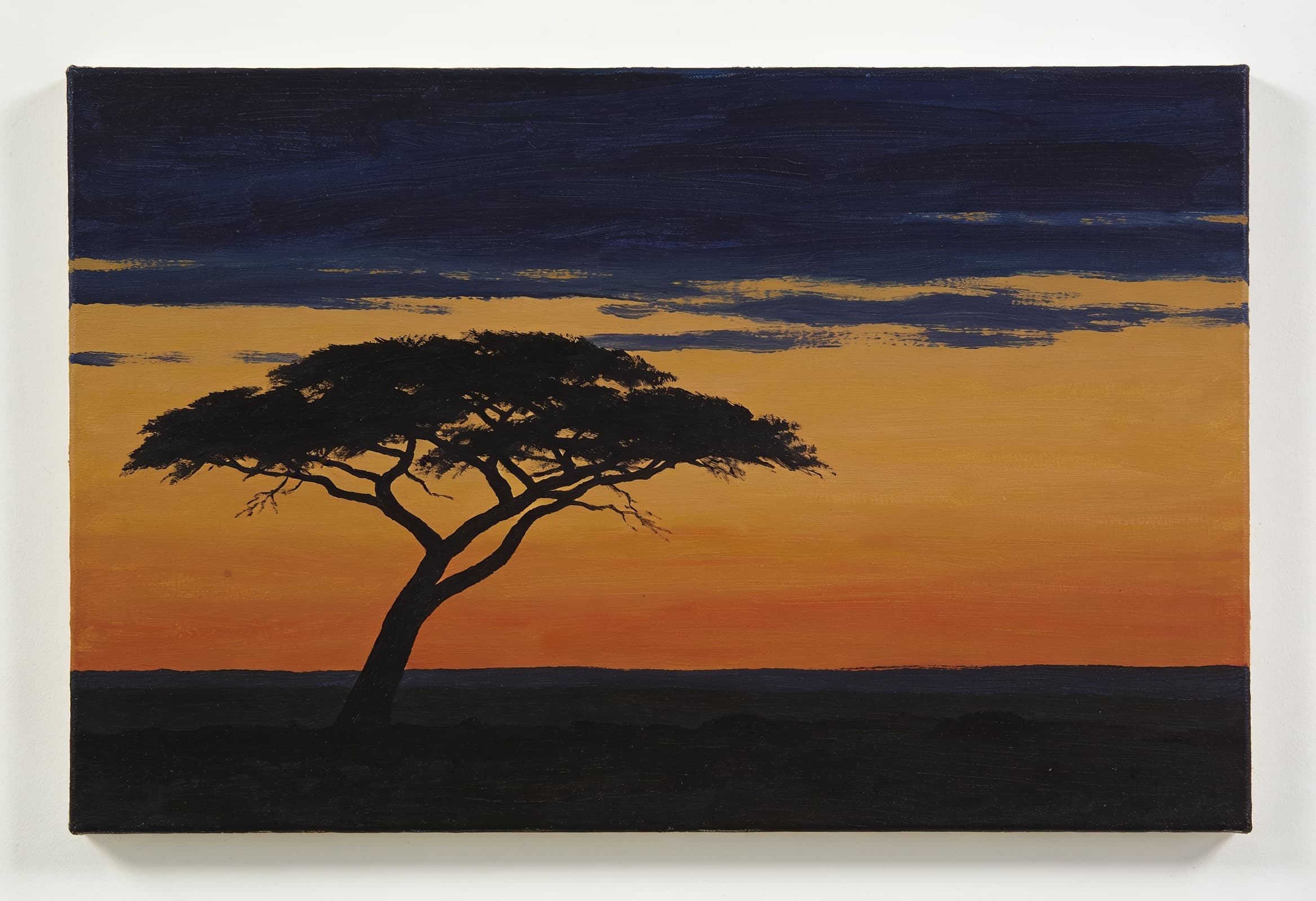 Savane au crépuscule